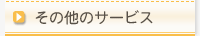 ̑̃T[rX