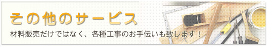 ̑̃T[rX