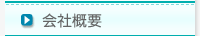 ЊTv